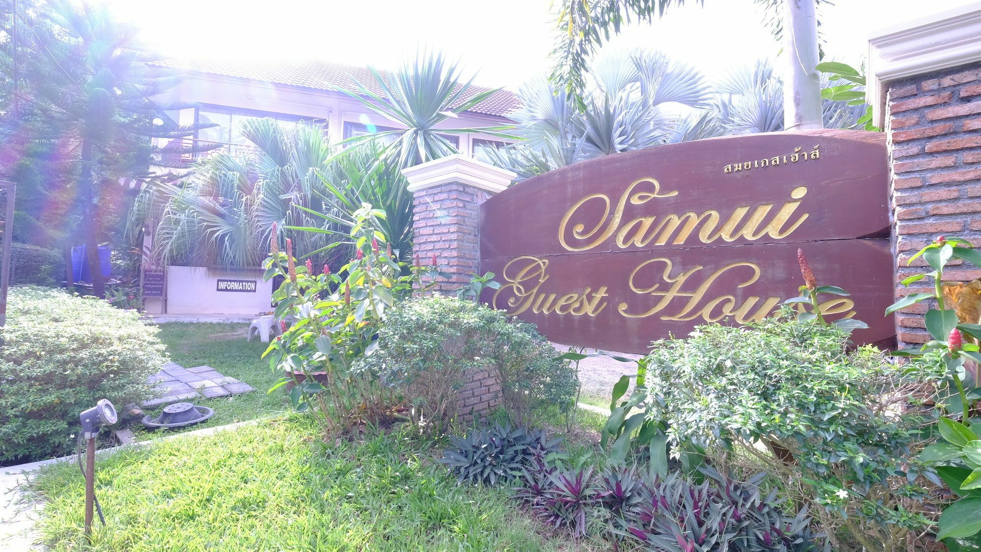 Samui Guest House Lamai Beach  Eksteriør bilde