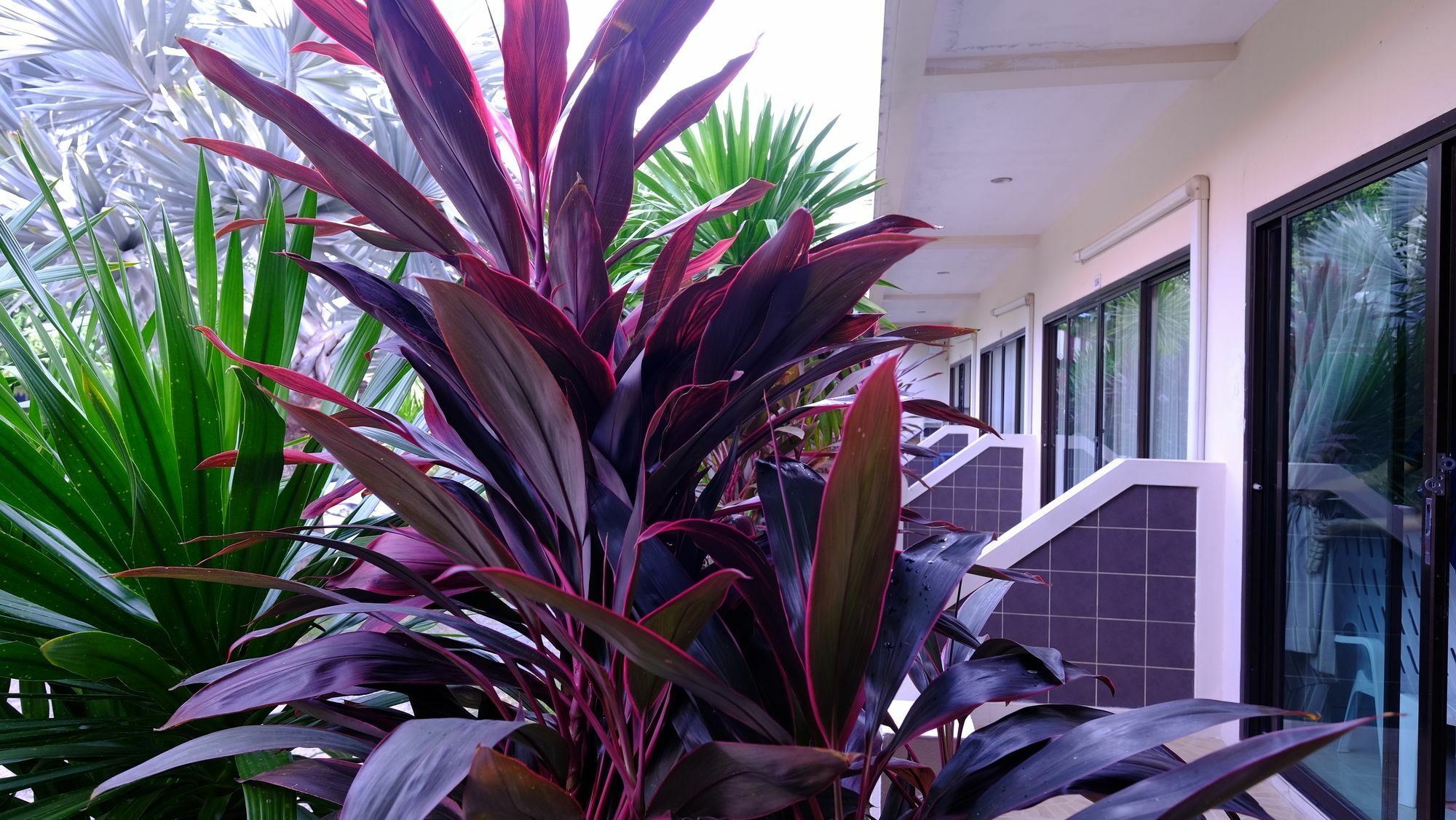 Samui Guest House Lamai Beach  Eksteriør bilde